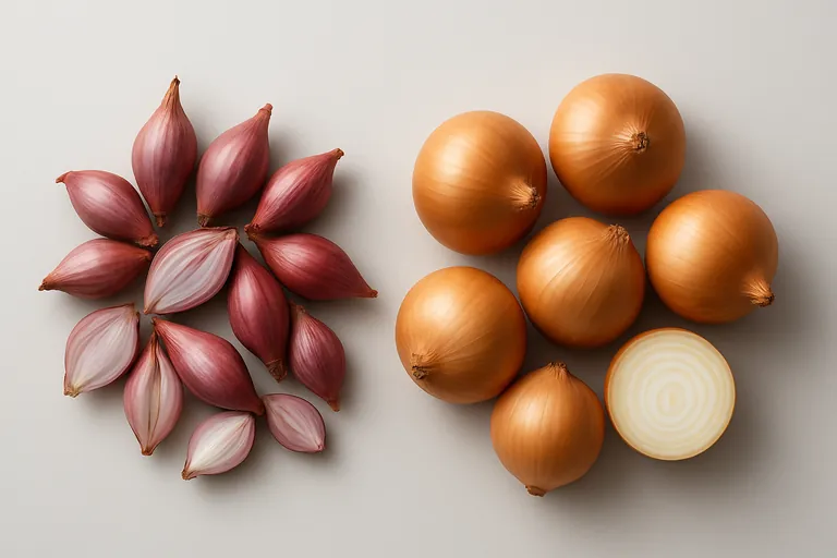 Side-by-side comparison of shallots and onions: shallots displayed as small, elongated, multi-clove segmented bulbs; onions as larger, round single bulbs with a halved onion showing concentric rings.